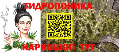 ГАЛЛЮЦИНОГЕННЫЕ ГРИБЫ Гусь-Хрустальный