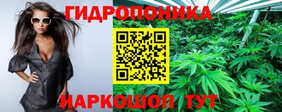 ГАЛЛЮЦИНОГЕННЫЕ ГРИБЫ Гусь-Хрустальный