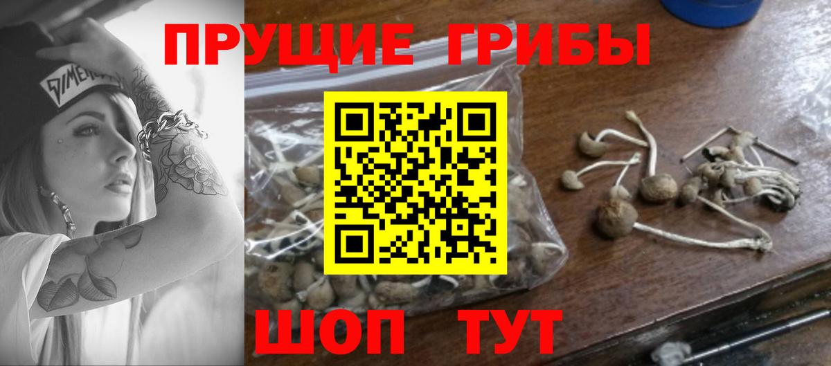 Псилоцибиновые грибы Psilocybine cubensis  Вход с VPN  Миасс 